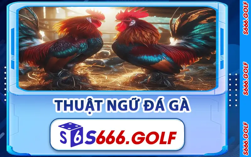 Thuật Ngữ Đá Gà
